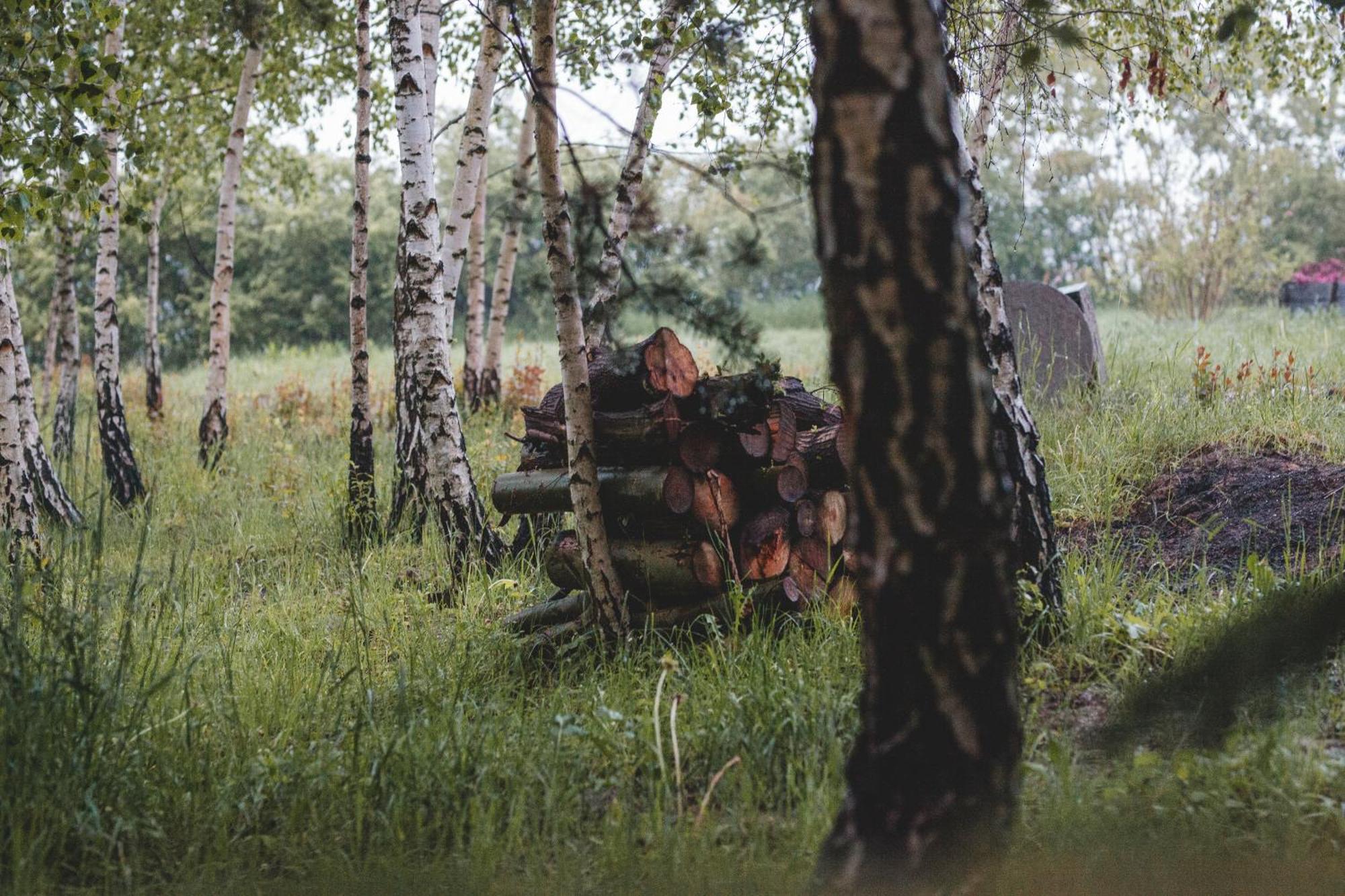 Domki Na Gorniej Lace - Domek Slowik Lazany Buitenkant foto