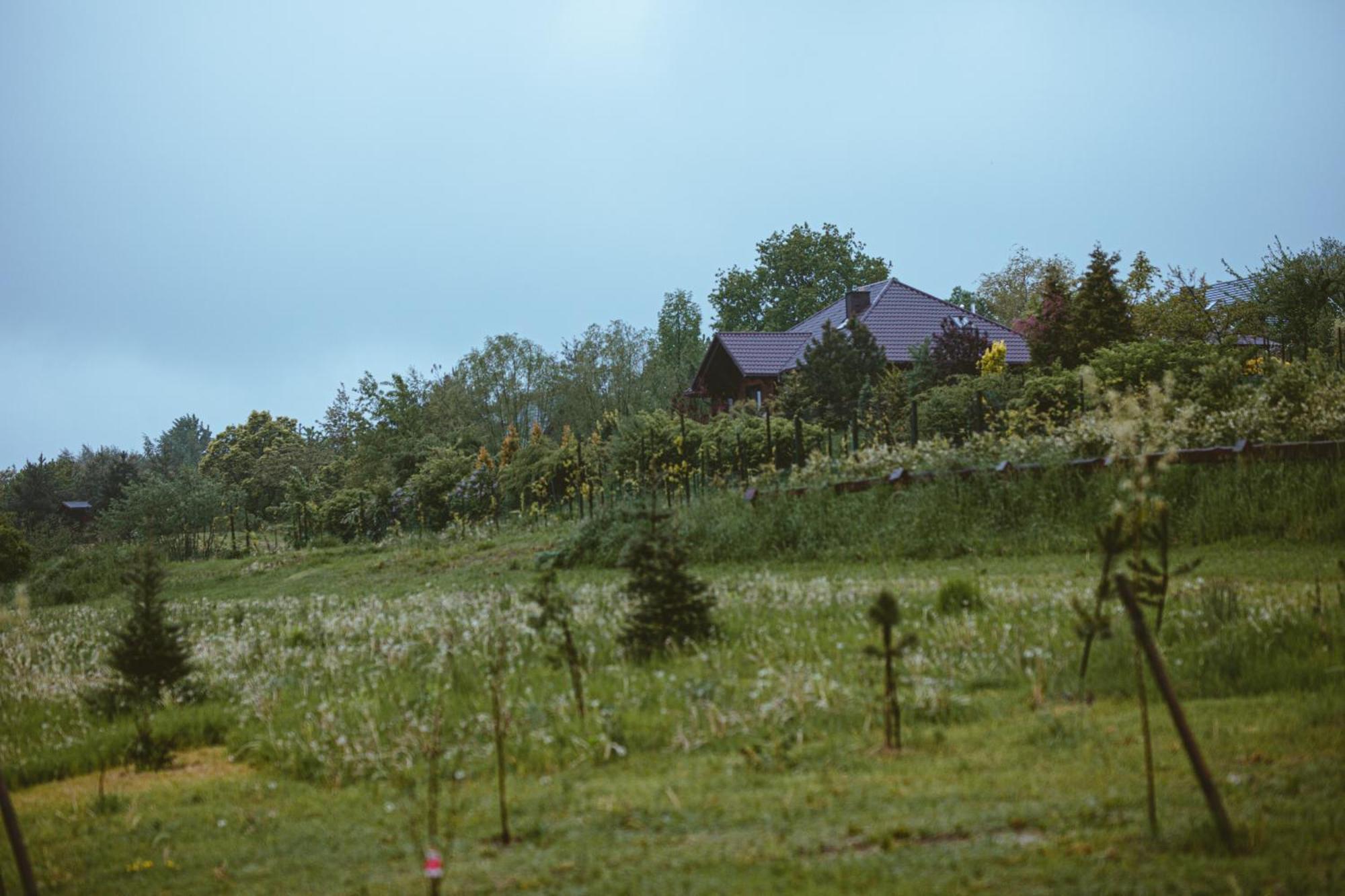 Domki Na Gorniej Lace - Domek Slowik Lazany Buitenkant foto