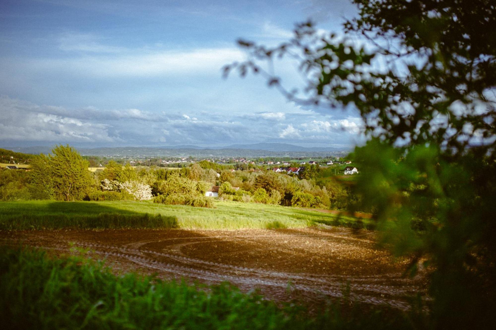 Domki Na Gorniej Lace - Domek Slowik Lazany Buitenkant foto