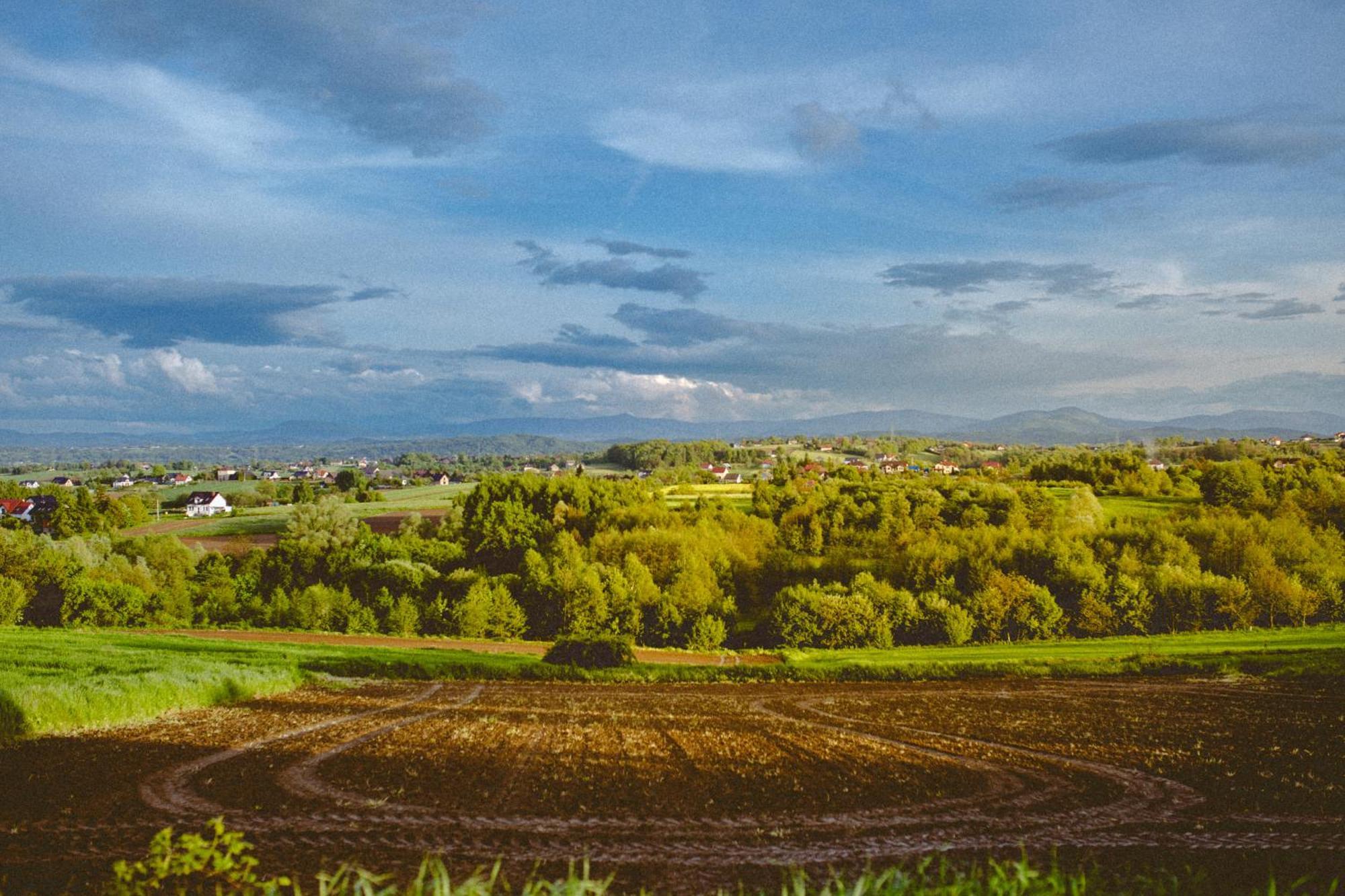 Domki Na Gorniej Lace - Domek Slowik Lazany Buitenkant foto